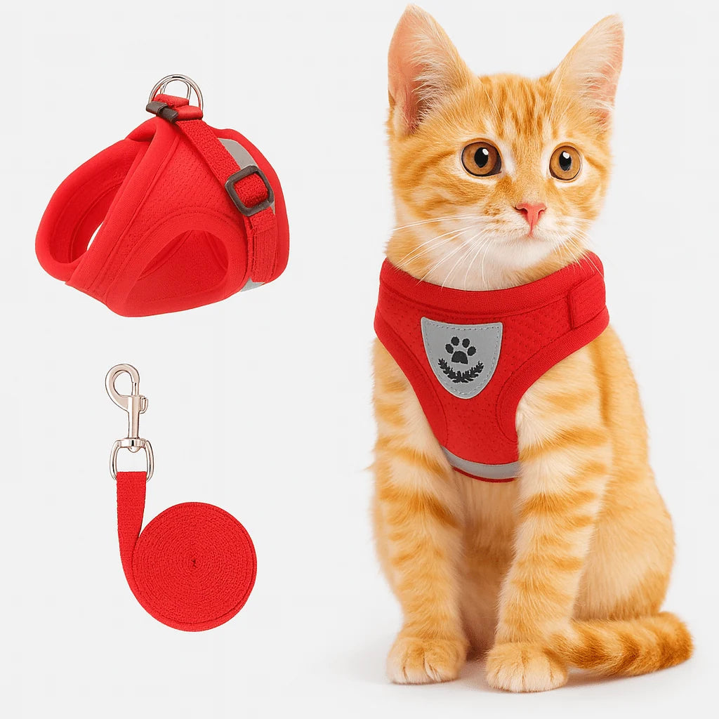 Cat Harness & Leash | Adjustable Breathable Mesh | Reflective Strip for Night Visibility