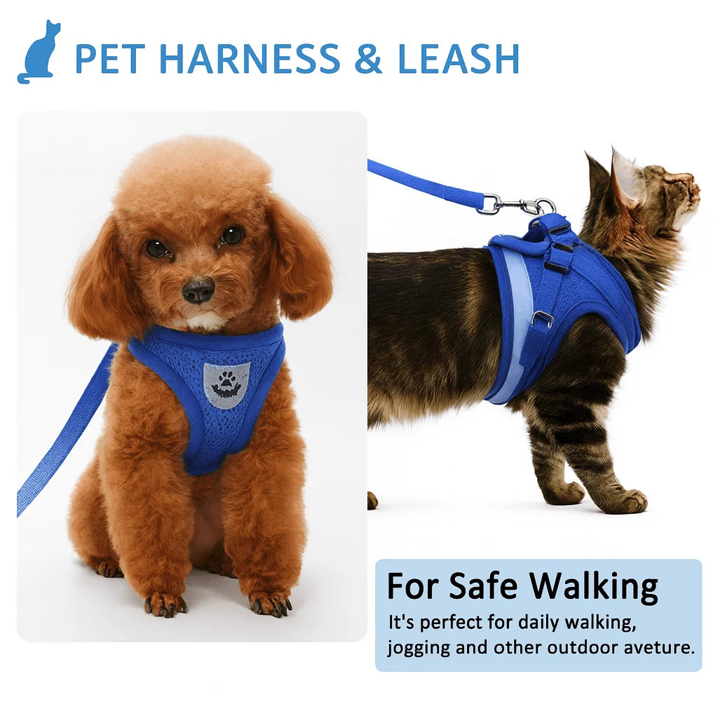 Cat Harness & Leash | Adjustable Breathable Mesh | Reflective Strip for Night Visibility