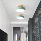 Ceiling Lamp | Circular Wood-Grain Body & Acrylic Shade | 20 cm