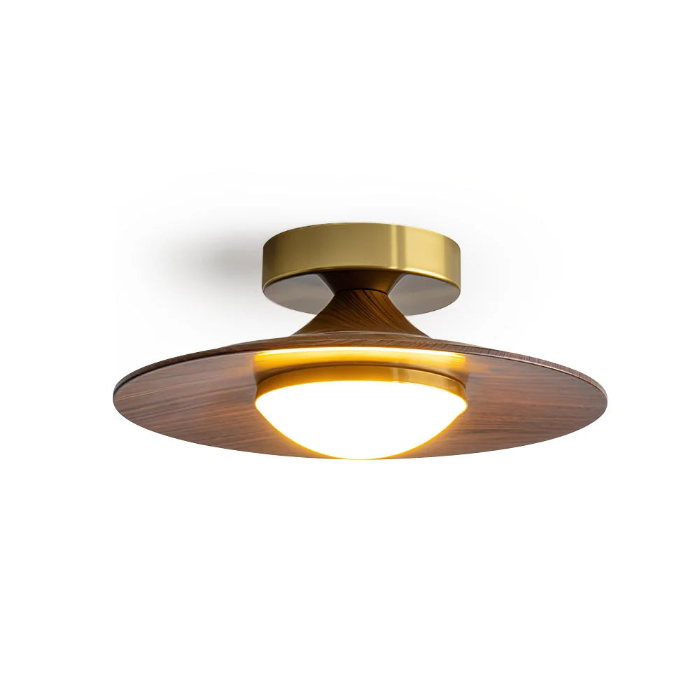 Ceiling Light | Integrated LED & Compact Flush Mount