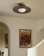 Ceiling Light | Integrated LED & Compact Flush Mount