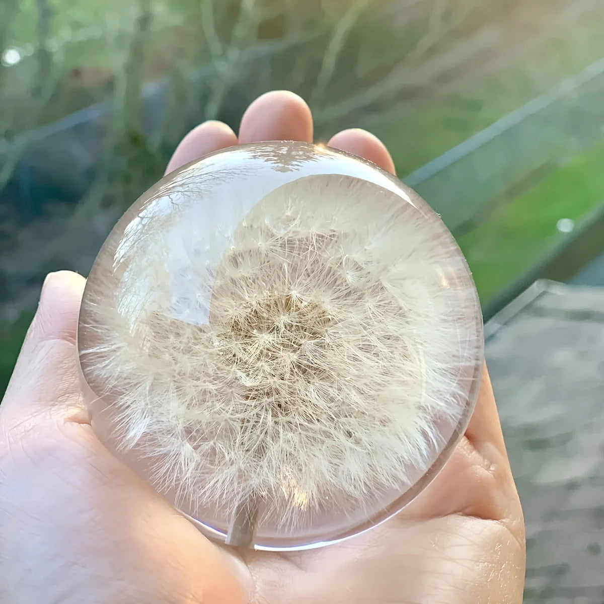 Decorative Crystal Ball | Real Dandelion Resin & Crystal Effect | 7 cm Diameter