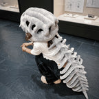 Dinosaur Hat | Realistic Skeleton & Machine Washable Plush | Child & Adult Sizes
