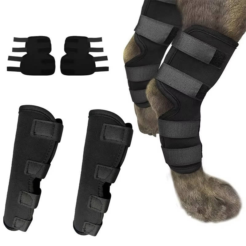 Dog Ankle Brace | Adjustable Compression & Reflective Strips