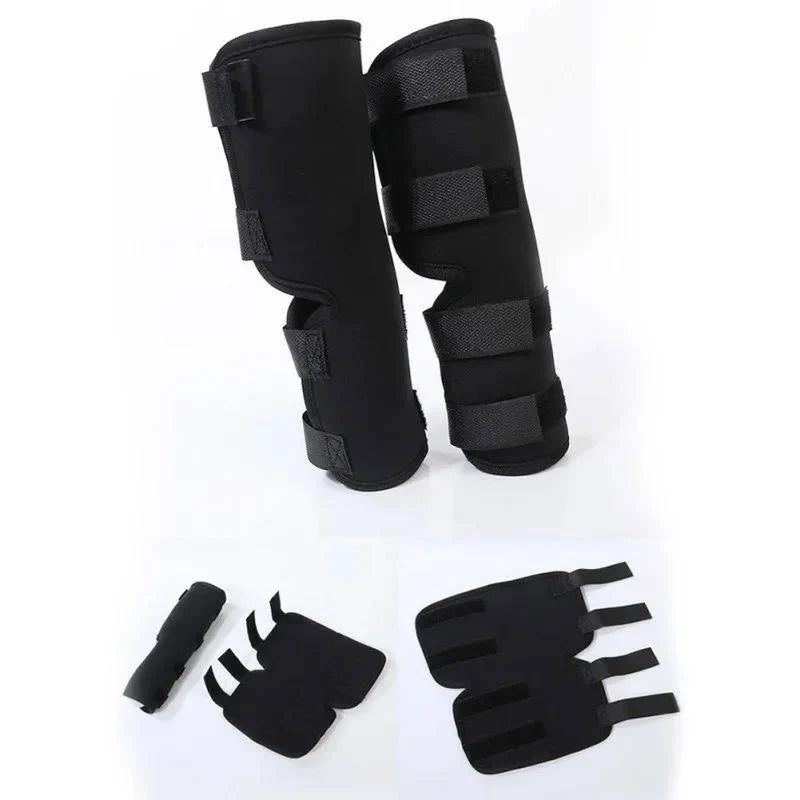 Dog Ankle Brace | Adjustable Compression & Reflective Strips