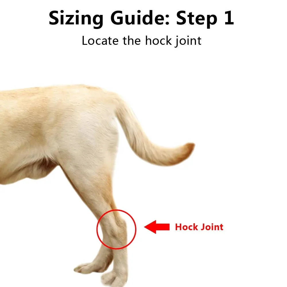 Dog Ankle Brace | Adjustable Compression & Reflective Strips