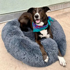 Dog Bed | Anxiety-Relieving Plush Nest-Style | Multiple Sizes