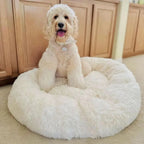 Dog Bed | Anxiety-Relieving Plush Nest-Style | Multiple Sizes