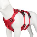 Dog Harness | Reflective & Adjustable Nylon