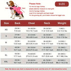 Dog Life Jacket | High Buoyancy, Reflective & Rescue Handle