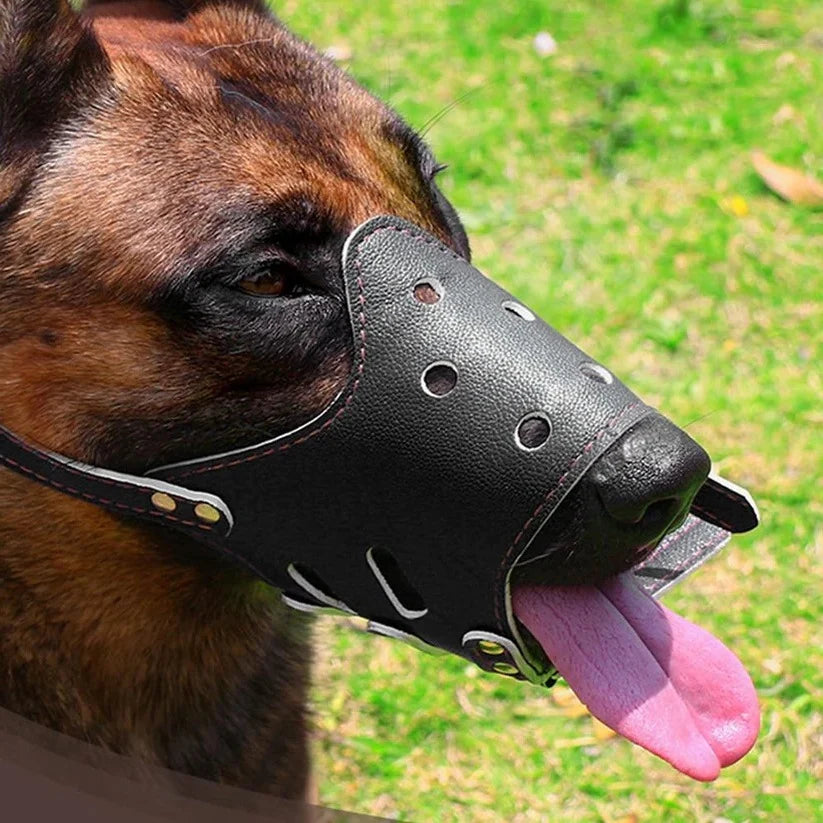 Dog Muzzle | Breathable Mesh & Leather, Adjustable Buckle & Anti-Slip Ring | Sizes S–XL
