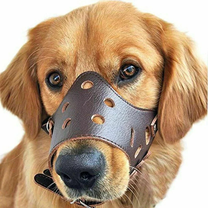 Dog Muzzle | Breathable Mesh & Leather | Adjustable Buckle