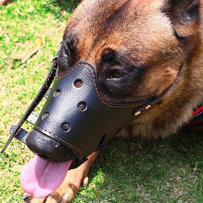 Dog Muzzle | Breathable Mesh & Leather | Adjustable Buckle