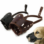 Dog Muzzle | Breathable Mesh & Leather | Adjustable Buckle