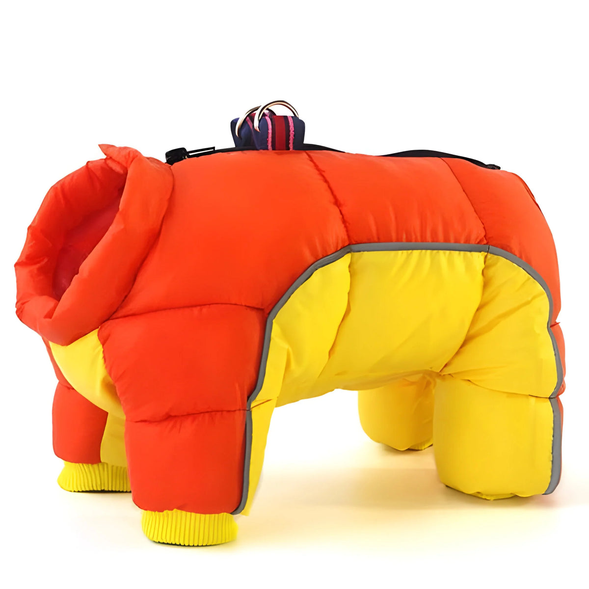 Dog Parka | Water-Resistant & Down-Alternative Lining | Small–Medium Dogs
