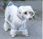 Dog Rain Jacket | Transparent Waterproof & Windproof | Adjustable Belly Strap