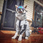 Dog Raincoat | Waterproof & Reflective | Full-Body Coverage