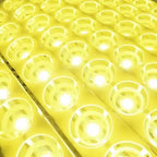 Egg Incubator | Automatic Egg Turning & Temperature Control | 24-Egg Capacity