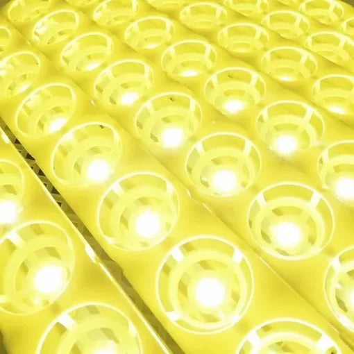 Egg Incubator | Automatic Egg Turning & Temperature Control | 24-Egg Capacity