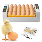 Egg Incubator | Automatic Egg Turning & Temperature Control | 24-Egg Capacity