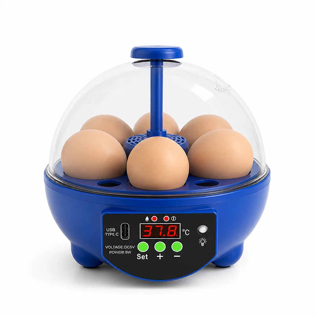 Egg Incubator | USB-Powered Automatic Temperature Control & Even Air Circulation | 4–6 Egg Capacity