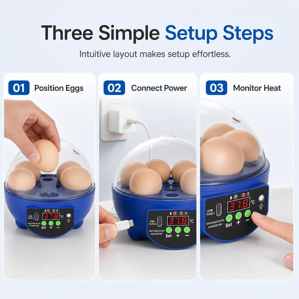 Egg Incubator | USB-Powered Automatic Temperature Control & Even Air Circulation | 4–6 Egg Capacity