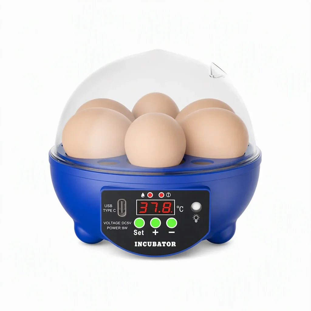 Egg Incubator | USB-Powered Automatic Temperature Control & Even Air Circulation | 4–6 Egg Capacity