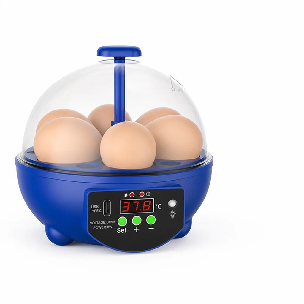 Egg Incubator | USB-Powered Automatic Temperature Control & Even Air Circulation | 4–6 Egg Capacity