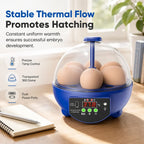 Egg Incubator | USB-Powered Automatic Temperature Control & Even Air Circulation | 4–6 Egg Capacity