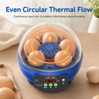 Egg Incubator | USB-Powered Automatic Temperature Control & Even Air Circulation | 4–6 Egg Capacity
