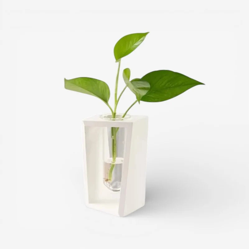Flower Vase | Cylindrical Tube Design | Wooden Stand