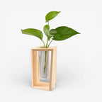 Flower Vase | Cylindrical Tube Design | Wooden Stand