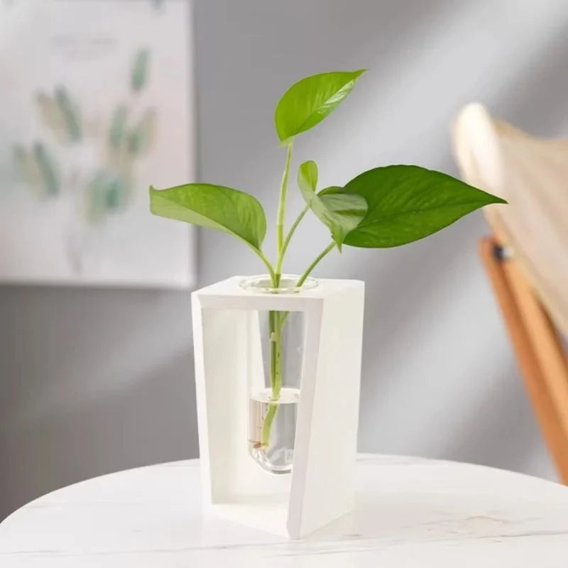 Flower Vase | Cylindrical Tube Design | Wooden Stand