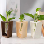 Flower Vase | Cylindrical Tube Design | Wooden Stand