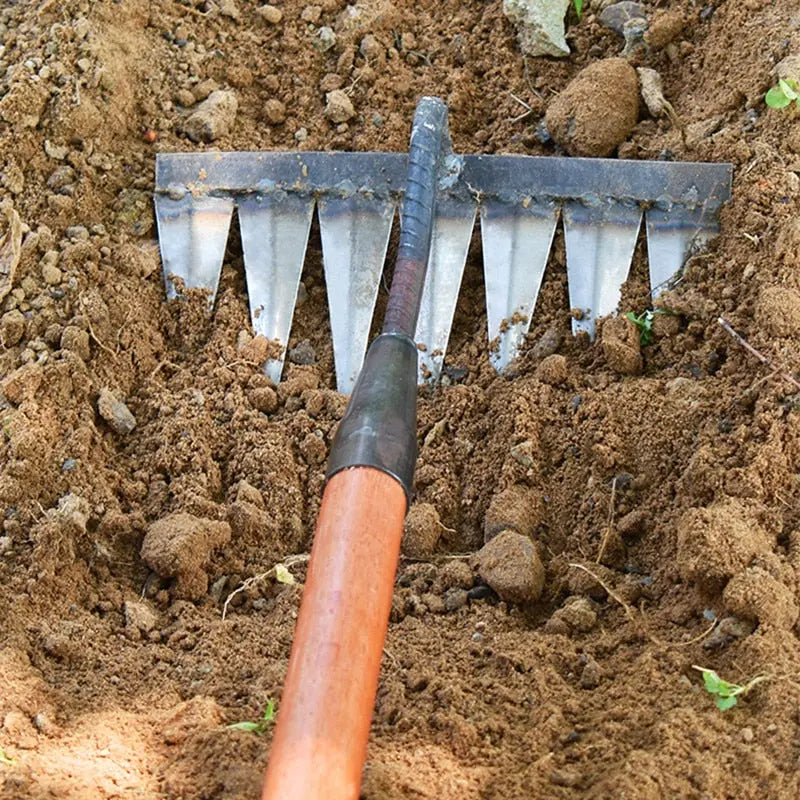 Garden Hoe | Carbon Steel Multi-Tine Head | Wooden Handle