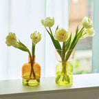 Glass Vase | Colourful Bottle-Stopper Design | Two-Piece