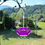 Hummingbird Feeder | Bee-Resistant Multiple Ports & Perch