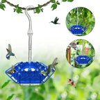 Hummingbird Feeder | Bee-Resistant Multiple Ports & Perch