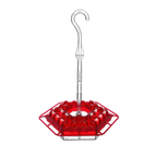 Hummingbird Feeder | Bee-Resistant Multiple Ports & Perch