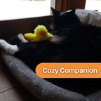 Interactive Cat Toy | Fluttering Wings & Quacking Sound | USB-Rechargeable