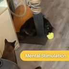 Interactive Cat Toy | Fluttering Wings & Quacking Sound | USB-Rechargeable