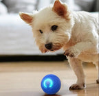 Interactive Pet Ball | Self-Moving & LED Light | Rechargeable
