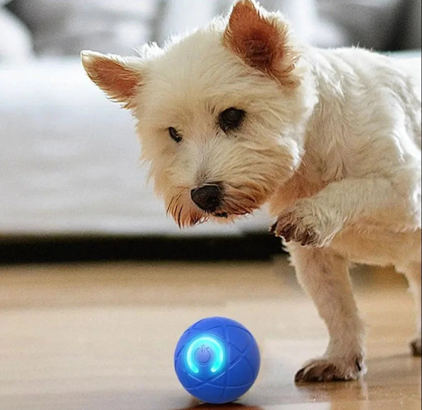 Interactive Pet Ball | Self-Moving & LED Light | Rechargeable