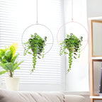 Hanging Plant Pot Holder | Open Iron Frame | Metal Chain