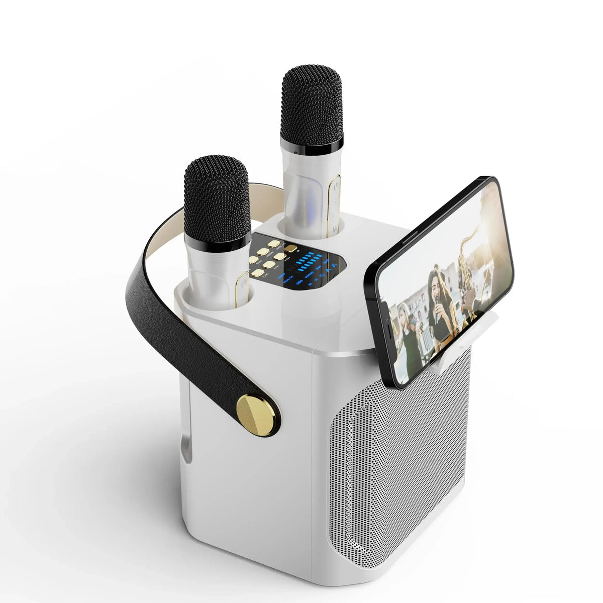 Karaoke Speaker | Bluetooth & Dual Microphone Inputs | Built-In Subwoofer