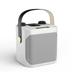 Karaoke Speaker | Bluetooth & Dual Microphone Inputs | Built-In Subwoofer