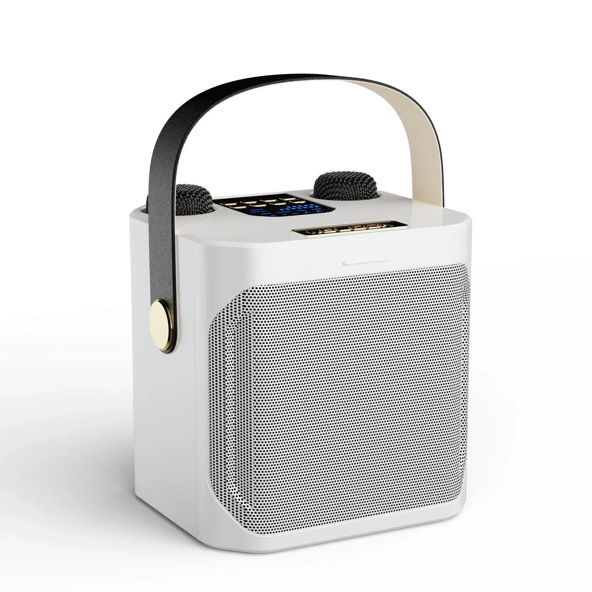 Karaoke Speaker | Bluetooth & Dual Microphone Inputs | Built-In Subwoofer