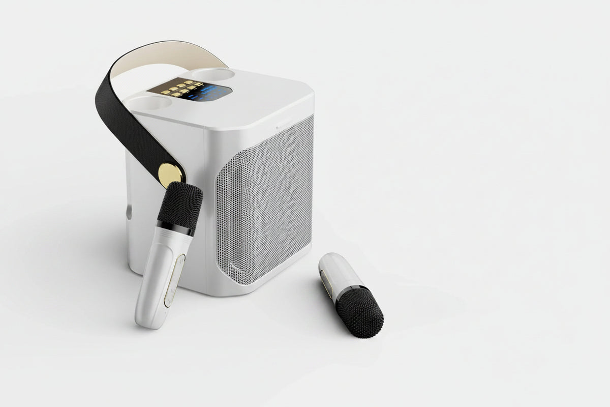 Karaoke Speaker | Bluetooth & Dual Microphone Inputs | Built-In Subwoofer