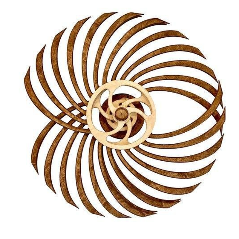 Kinetic Sculpture | Wind-Up Spring & Wooden Construction