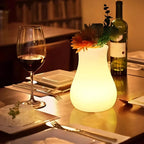 LED Flower Vase | USB Rechargeable IP65 Waterproof & 16-Colour Remote